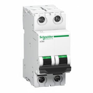 schneider 63a 10ka dp mcb c curve